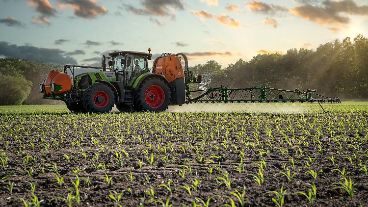 Glyphosat-Einsatz auf deutschen Ackerflächen: Die EU muß ihre Genehmigung im Herbst überdenken.