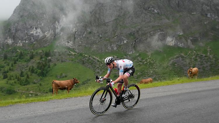 Die Fahrt ins Gelbe Trikot führte Pogacar den Col de la Colombiere hinab und an staunenden Kühen vorbei.