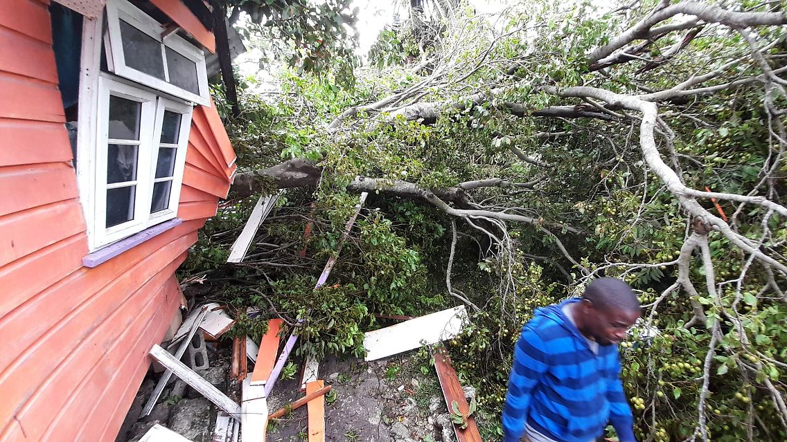 Auf Barbados ließ der Sturm Bäume und Strommasten umstürzen.