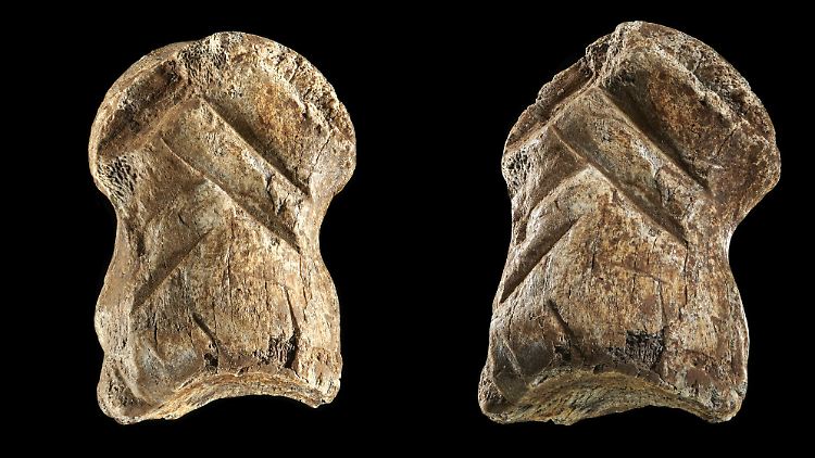 Forscher haben im Harz Riesenhirsch-Knochen entdeckt, in die Frühmenschen Muster eingeritzt haben.