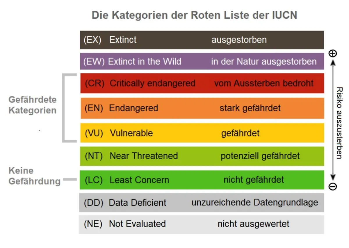 Rote-Liste-Kategorien