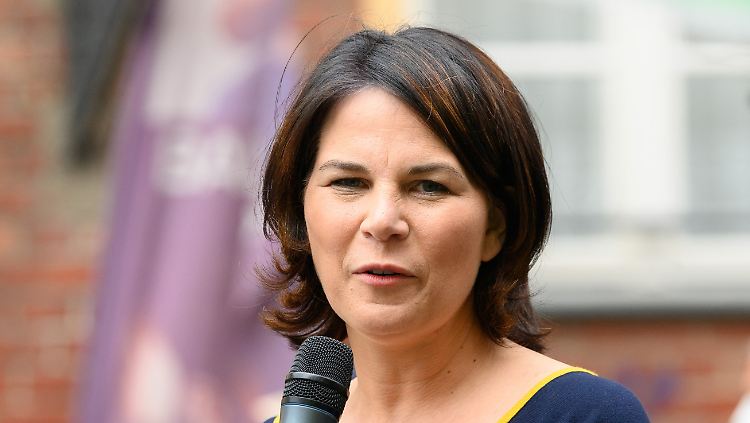 Bücher bringen keine Vorteile im Wahlkampf, sagt Politikberater van de Laar. Annalena Baerbock hätte sich demnach viel Ärger ersparen können. 