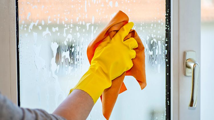 Im europäischen Vergleich arbeiten in Deutschland viele Haushaltshilfen schwarz.