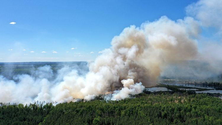 Auch in Brandenburg brennen im Sommer die Wälder: Bild vom Loben-Moor im Mai 2020.