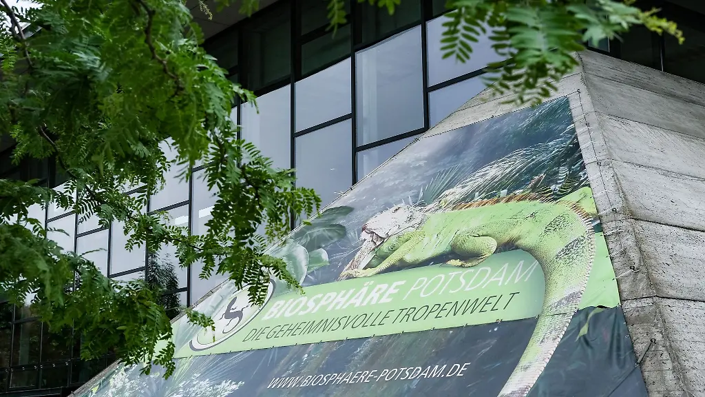 Die-Landeshauptstadt-Potsdam-muss-sparen-Wird-die-Biosphaere-Potsdam-geschlossen-Archivbild