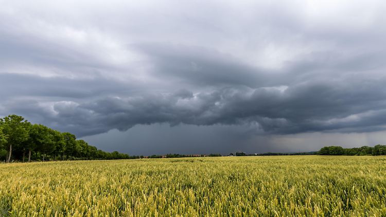 Ein Anblick, an den man sich diesen Sommer wohl gewöhnen muss: Ein Gewitter braut sich zusammen.