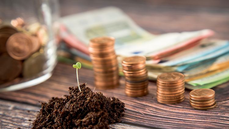 Nachhaltig Geld verdienen? Geht auch.   