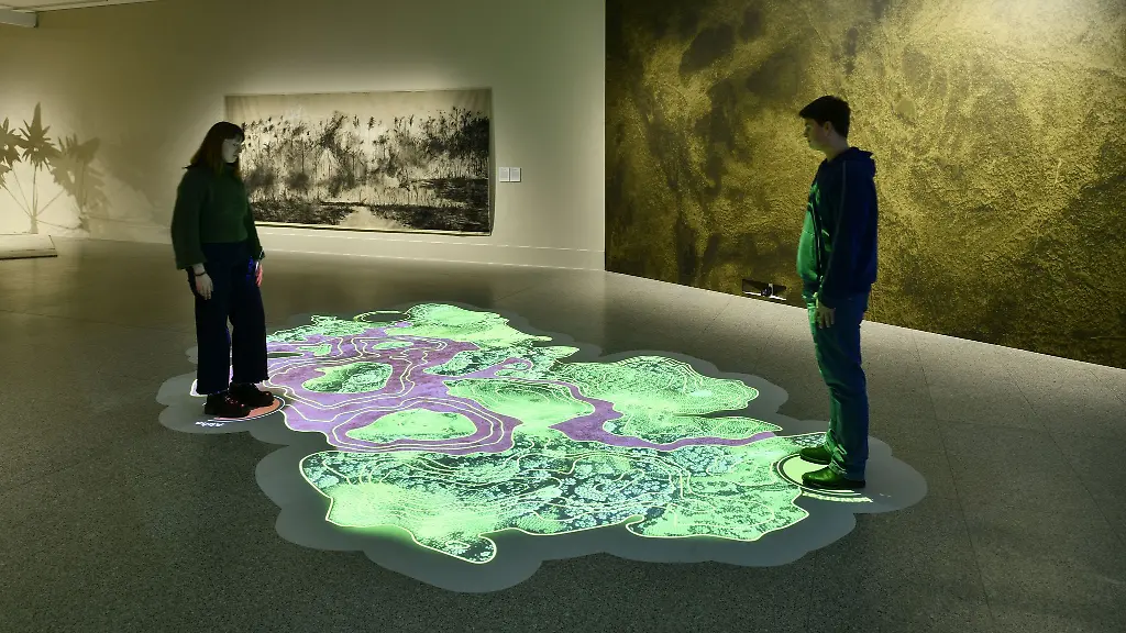 Eine-interaktive-Bodenprojektion-ist-in-der-Ausstellung-Save-Land-United-fuer-Land-in-Bonn-zu-sehen-Vom-6-Dezember-bis-zum-1-Juni-2025-wird-die-unterschiedliche-Nutzung-und-Gefaehrdung-von-Boeden-dargestellt