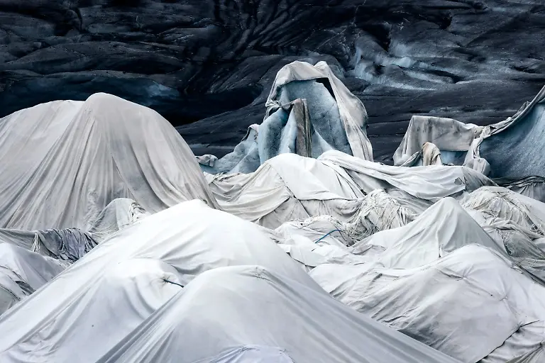 43033-SPECIAL-Environmental-Winner-Felix-Ro-eser-4291-43033