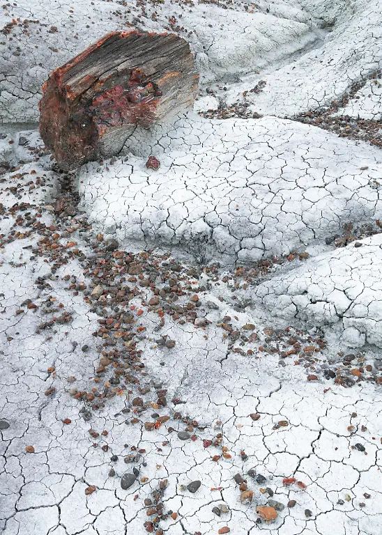 02-43124-Intimate-Landscape-Runner-Up-Laura-Zirino