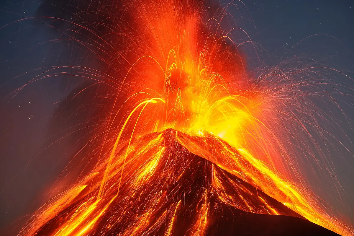 projects-Runner-Up-Thomas-Spinner-1-3888-39826