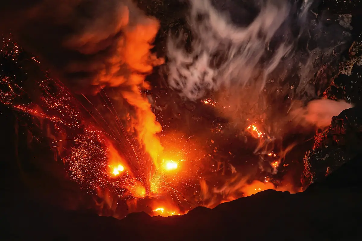 projects-Runner-Up-Thomas-Spinner-1-3888-39822