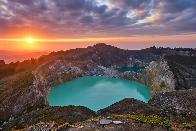 projects-Runner-Up-Thomas-Spinner-1-3888-39824