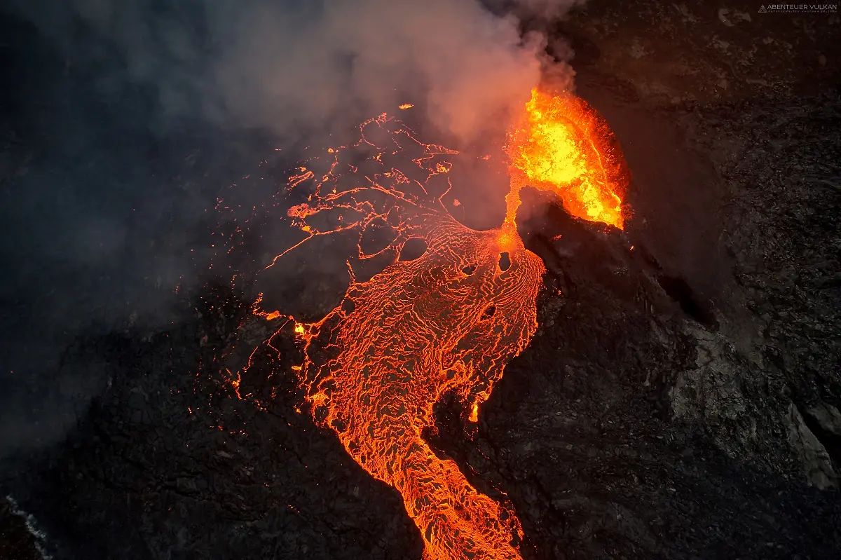 projects-Runner-Up-Thomas-Spinner-1-3888-39831