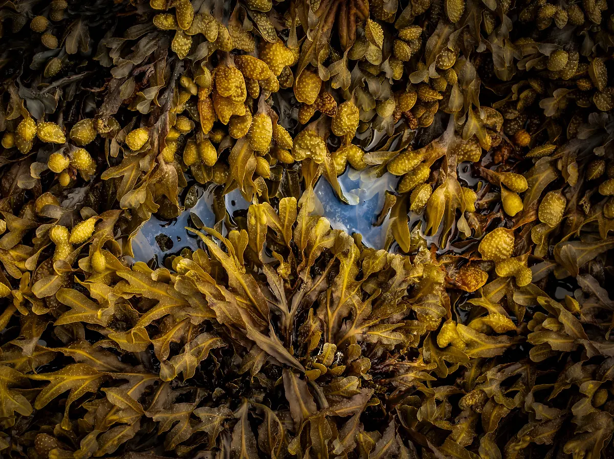 projects-Winner-David-Southern-1-98-41452