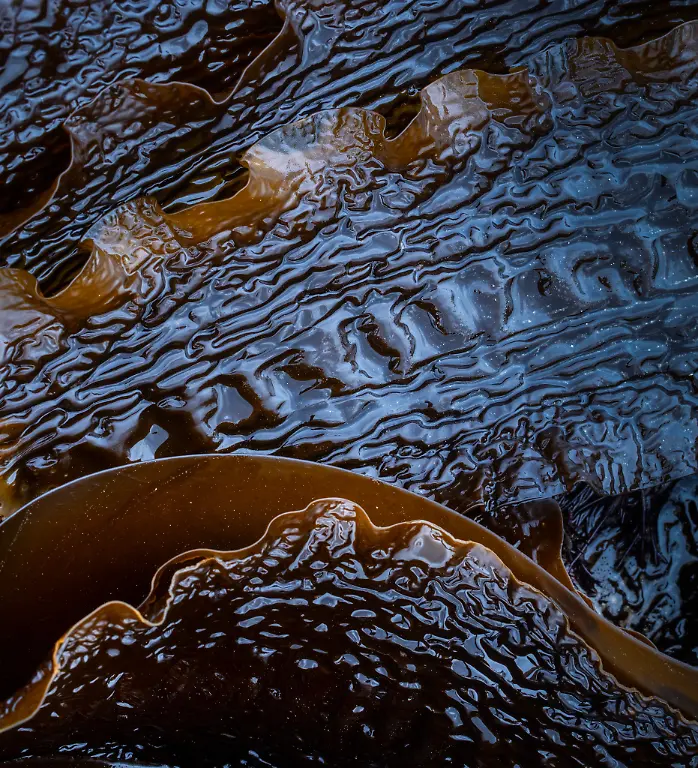 projects-Winner-David-Southern-1-98-42944