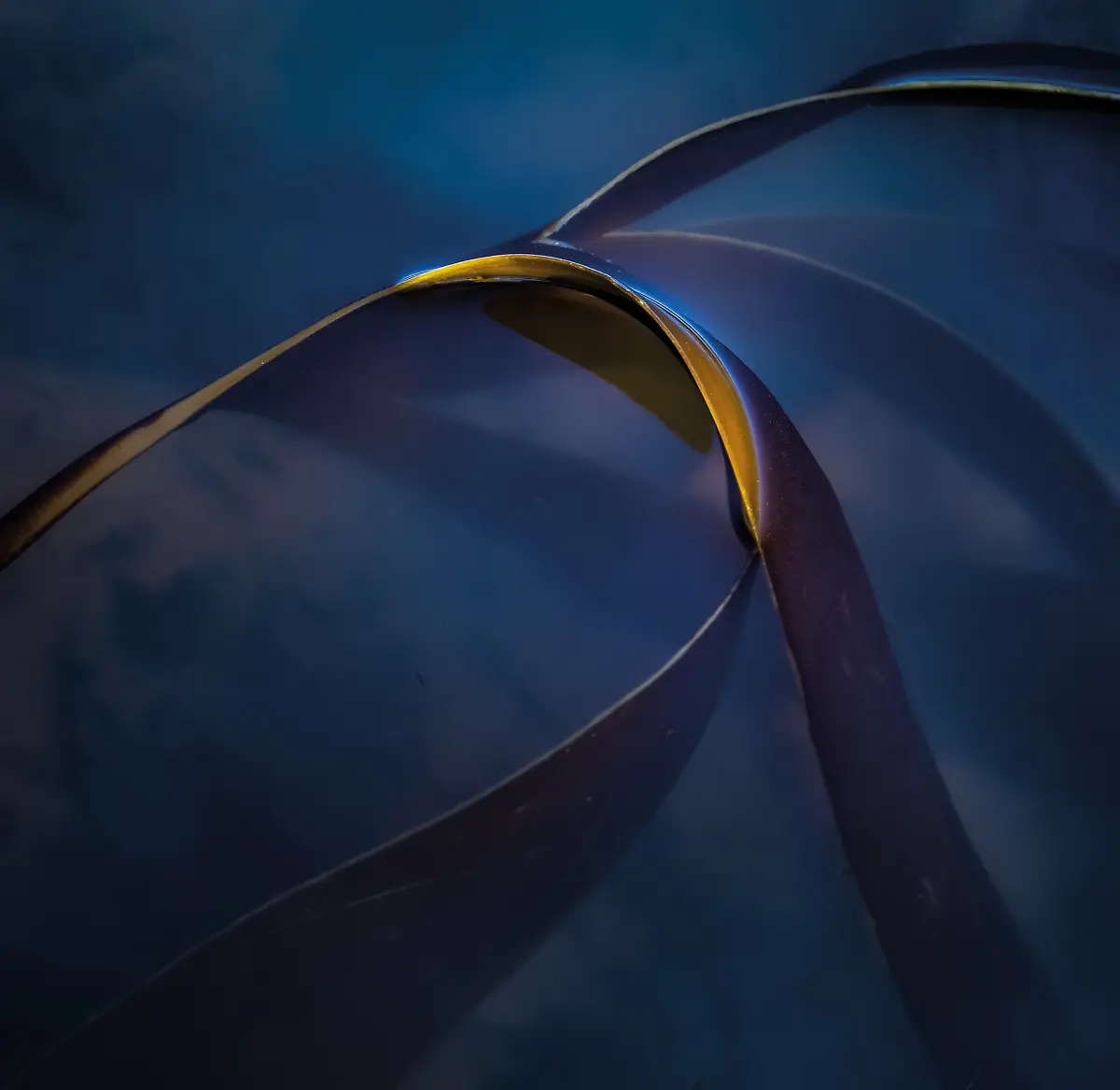 projects-Winner-David-Southern-1-98-46980