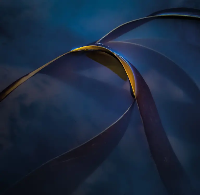 projects-Winner-David-Southern-1-98-46980