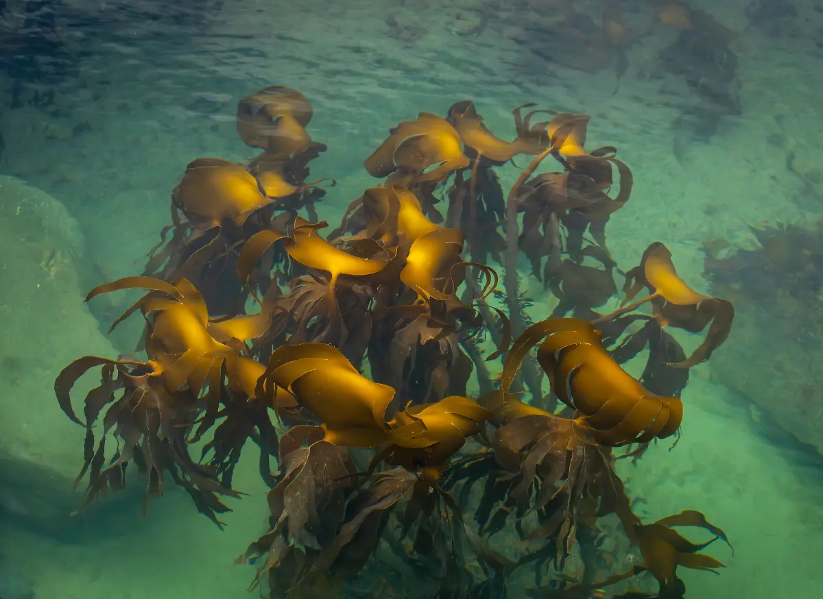 projects-Winner-David-Southern-1-98-42097