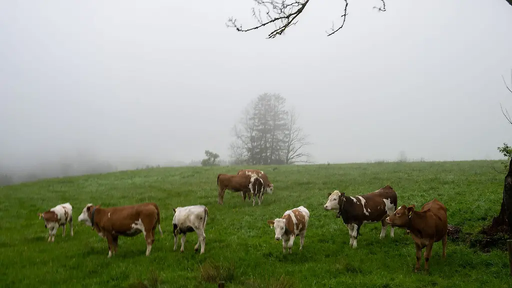 In-Hessen-bleibt-das-Wetter-in-den-naechsten-Tagen-neblig-trueb