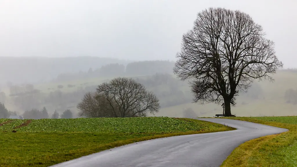 Kaltes-und-wechselhaftes-Novemberwetter-erwartet-die-Menschen-in-Thueringen-in-den-naechsten-Tagen