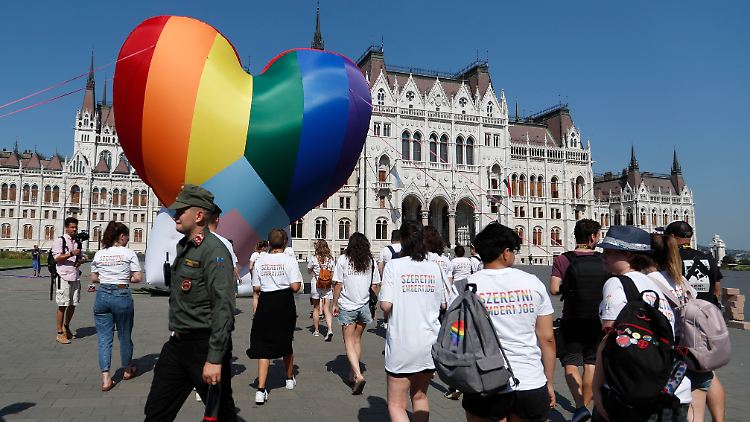 In Ungarn soll ein neues Gesetz verhindern, dass Kinder  in Kontakt mit queeren Lebensformen kommen.  