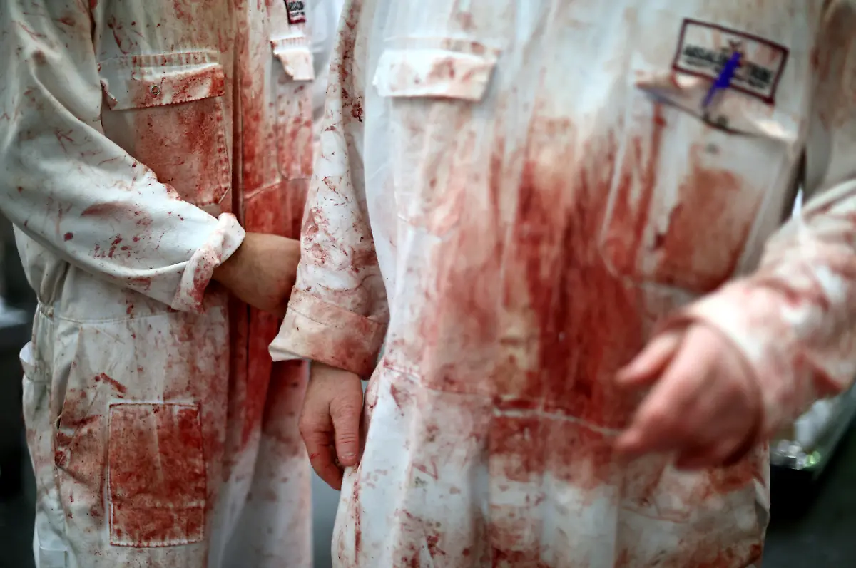 2021-11-23T081723Z-650315921-RC2HXQ9WY9N8-RTRMADP-3-BRITAIN-MEAT