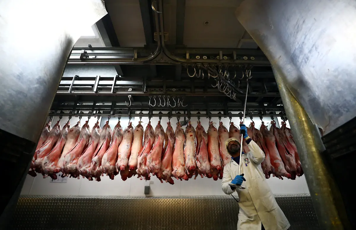 2021-11-23T081052Z-569697438-RC2OUQ95J8GR-RTRMADP-3-BRITAIN-MEAT