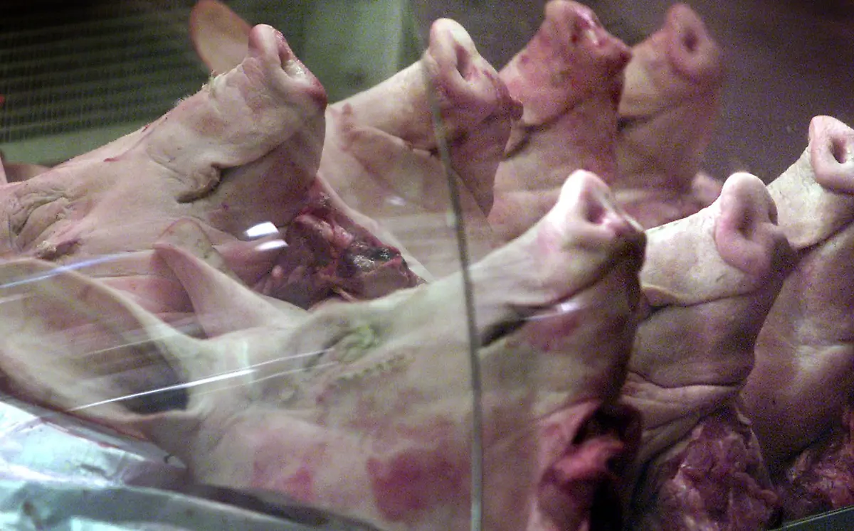 2001-02-28T000000Z-506206576-RP2DRIHNLLAA-RTRMADP-3-BRITAIN-FOOD-DISEASE