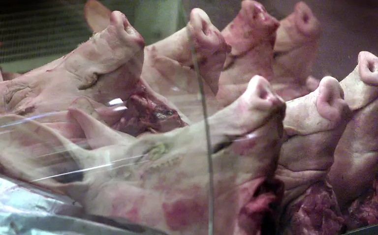 2001-02-28T000000Z-506206576-RP2DRIHNLLAA-RTRMADP-3-BRITAIN-FOOD-DISEASE