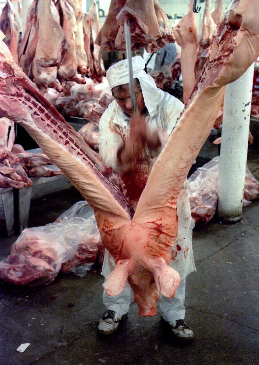 1996-03-27T120000Z-372678669-PBEAHUMTRAO-RTRMADP-3-MAD-COW