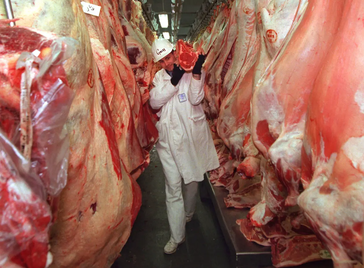 1997-12-16T120000Z-1574406594-PBEAHUMRUCN-RTRMADP-3-MADCOW