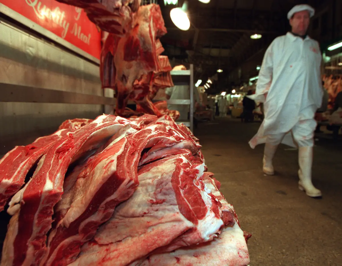 1997-12-16T120000Z-1597964983-PBEAHUMRXCX-RTRMADP-3-MADCOW