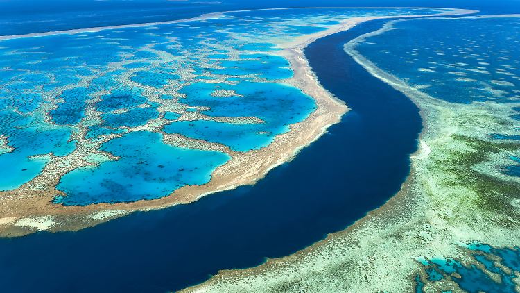 Das Great Barrier Reef vor der Ostküste Australiens ist das größte Riff der Welt.