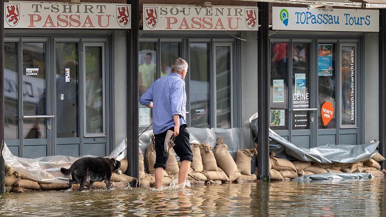 Gassi im Wasser: In Passau verharrte die Donau zuletzt knapp unter der Marke von 8,50 Metern, ab der die höchste Hochwasserstufe gilt. 