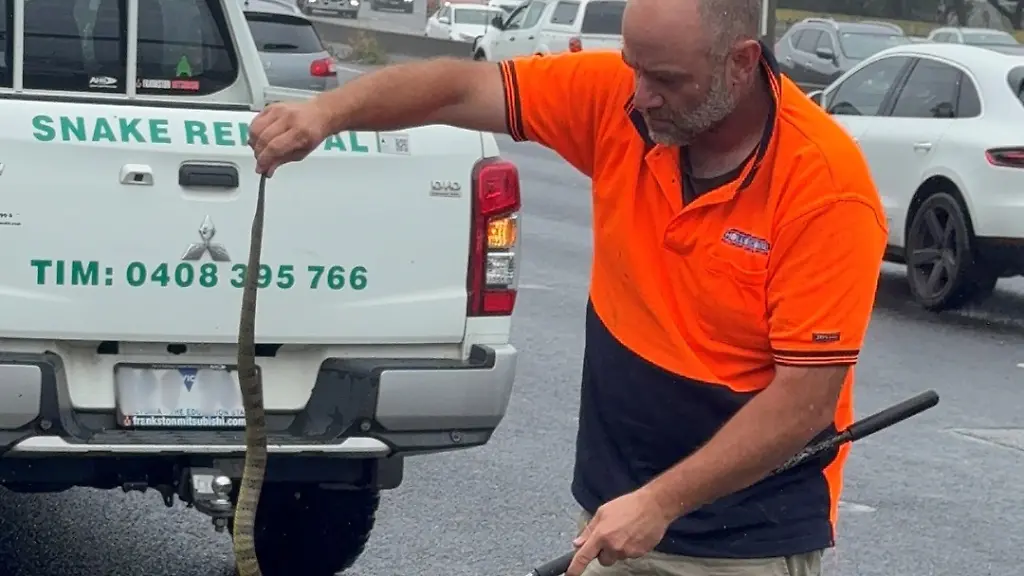 468802112-988198733333189-3923272475945078640-n