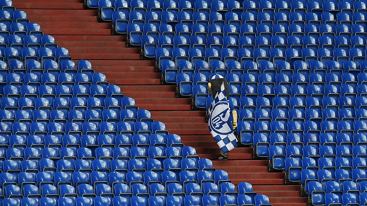 Erwin, das krawallig-melancholische Schalke-Maskottchen, kann sich endlich wieder auf Fans freuen.