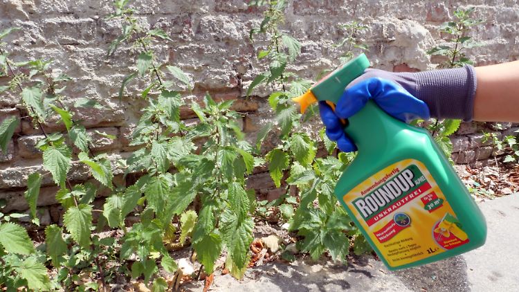 Glyphosat ist für Hobbygärtner demnächst tabu.