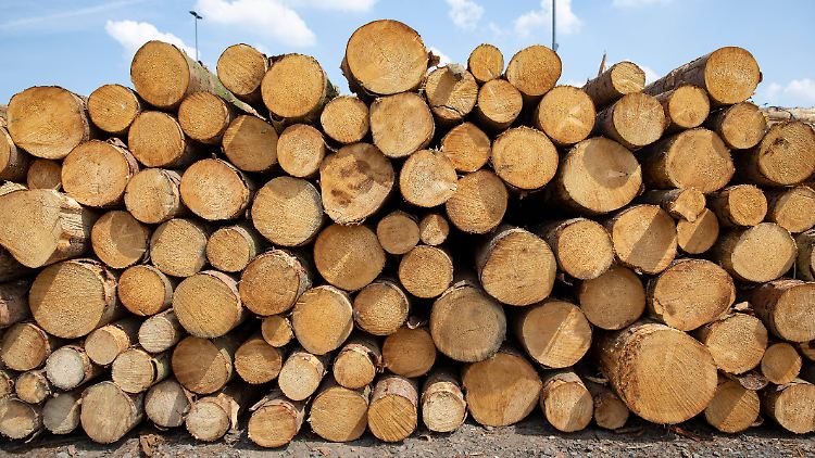 Unter anderem die starke Nachfrage nach Holz hat die Verbraucherpreise so stark steigen lassen wie seit Jahrzehnten nicht mehr.