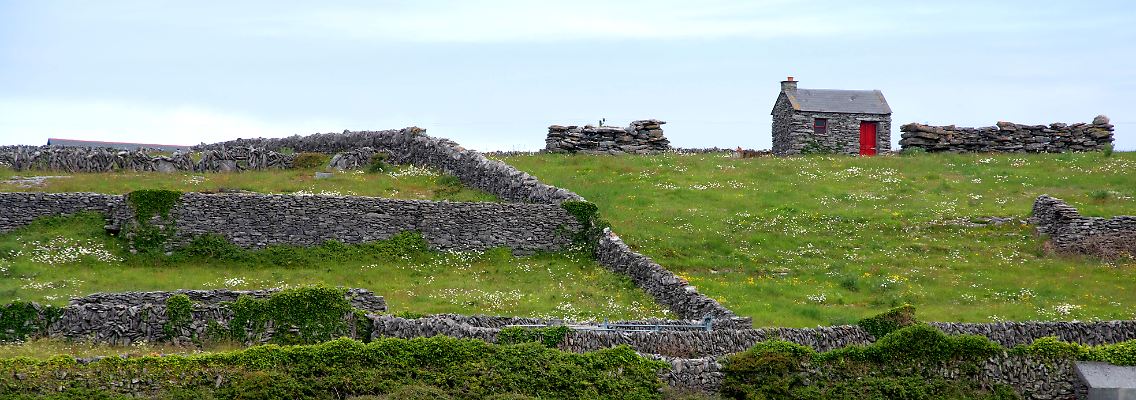DSC_0334.jpg