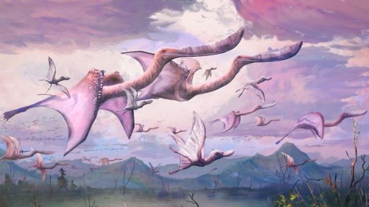 Ein Schwarm erwachsener und frisch geschlüpfter flamingoähnlicher Pterosaurier, Pterodaustro guinazui, in der frühen Kreidezeit in Argentinien.
