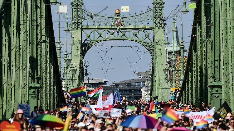 Menschen gehen bei der Gay Pride Parade über die Budapester Freiheitsbrücke.