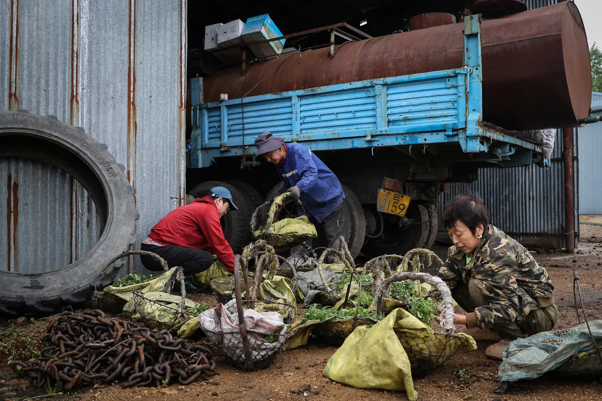 2024-11-27T230055Z-1627432138-RC24C8AF03KN-RTRMADP-3-CLIMATE-CHANGE-CHINA-POTATOES