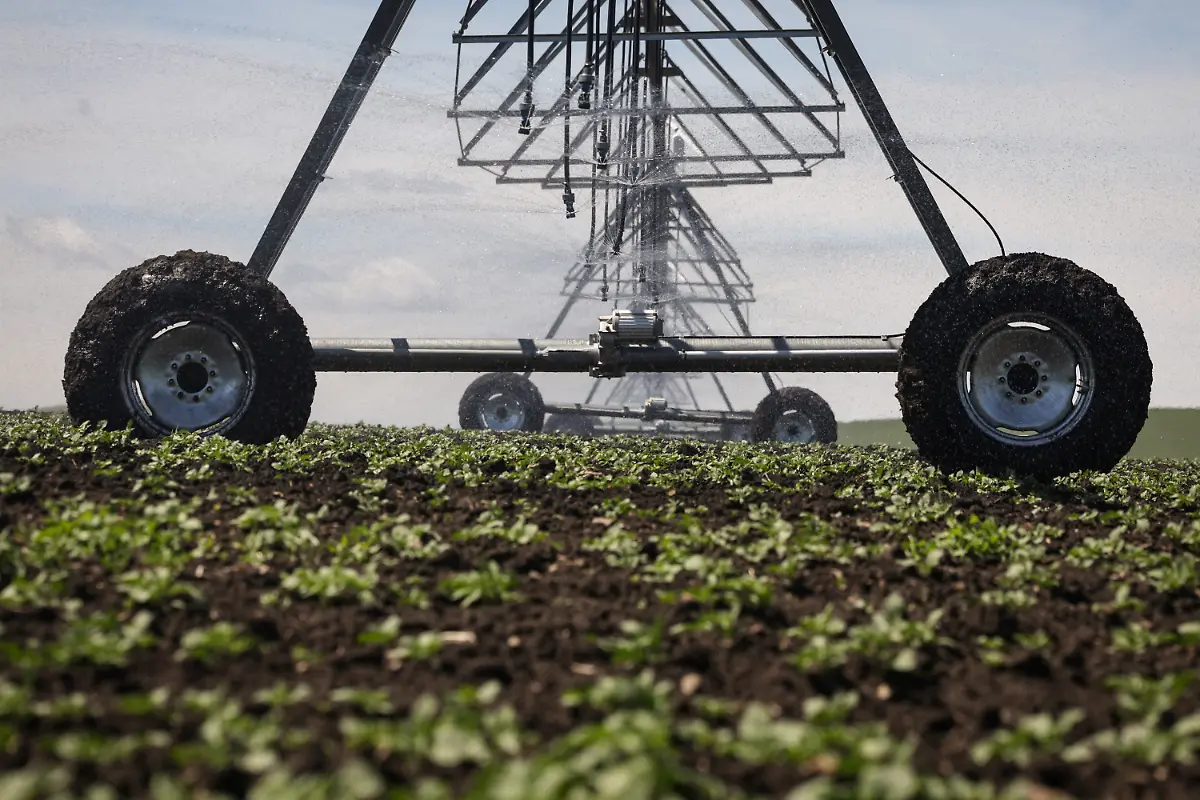 2024-11-27T230046Z-1714451656-RC2SC8AOBFTE-RTRMADP-3-CLIMATE-CHANGE-CHINA-POTATOES