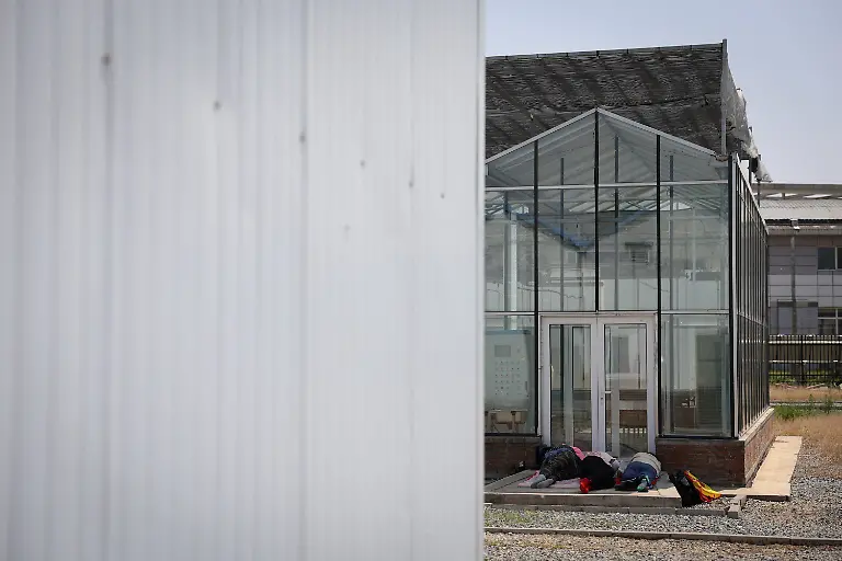 2024-11-27T230044Z-803245512-RC24U7AWY8QM-RTRMADP-3-CLIMATE-CHANGE-CHINA-POTATOES