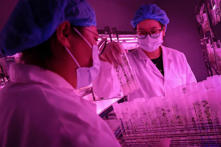 2024-11-27T230051Z-1394579817-RC2287APQ0JS-RTRMADP-3-CLIMATE-CHANGE-CHINA-POTATOES