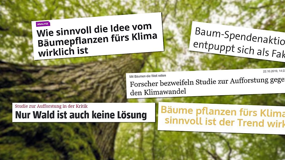 greenwashing.jpg