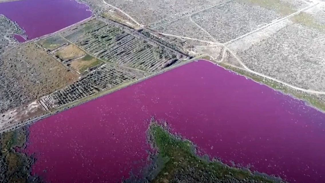 pink.jpg