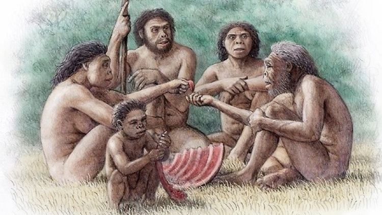 Eine Gruppe von Homo erectus teilt sich das Essen mit einem alten und zahnlosen Individuum, auch hier sichert Zusammenarbeit das Überleben.