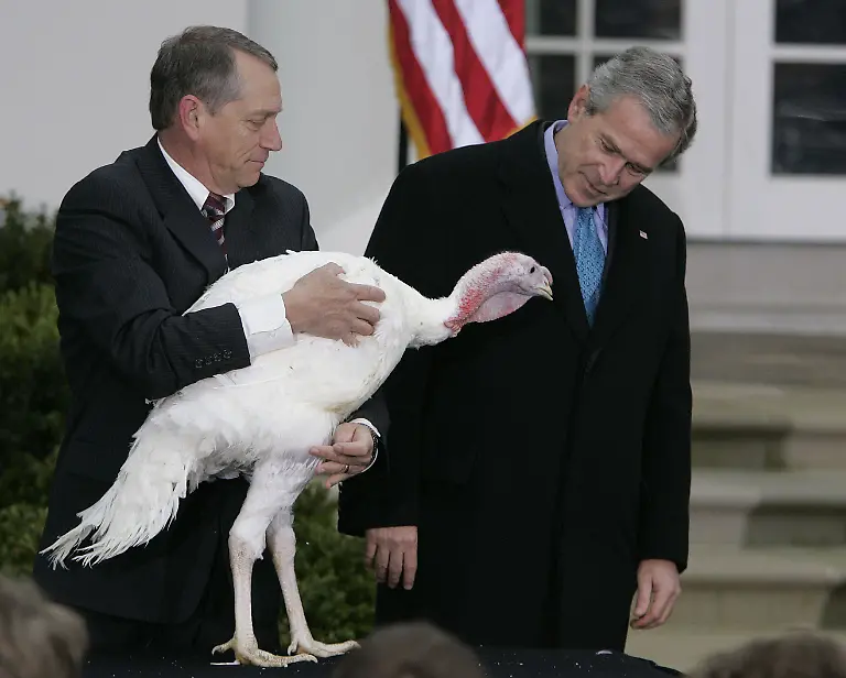 fcb19376dc43504b9653ad1104e0e95c